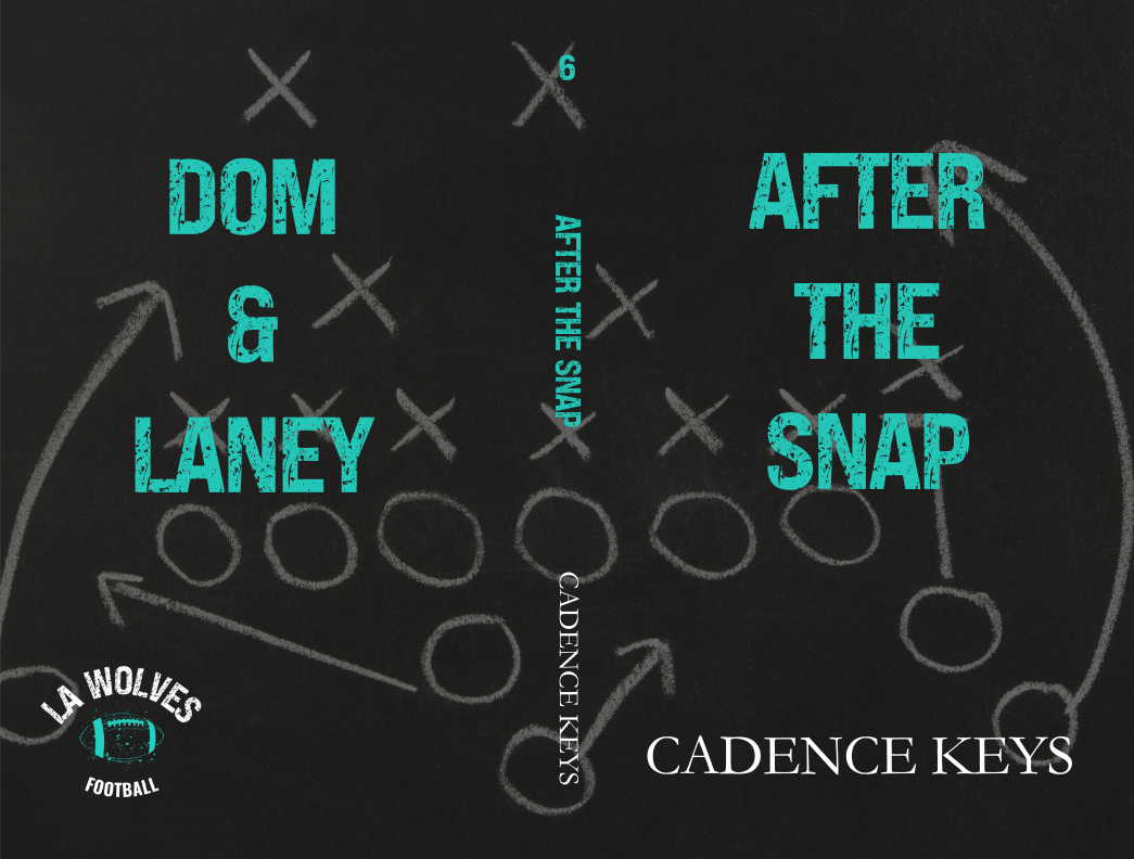 After the Snap (DISCREET PAPERBACK)